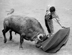 LAMINA PACO CAMINO, AL NATURAL